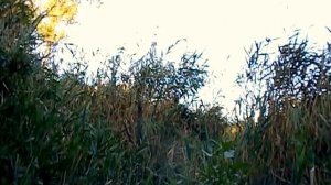 ловля на паук мелкого карася