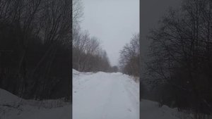 Прогулка на озеро Девятка. ч.2. Реттиховка. Приморский край.