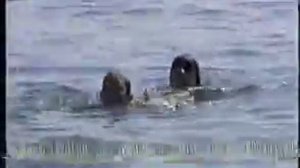 Бабушка Маша Санаторий Крым 2000 Часть 3