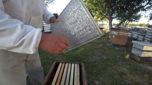 Пчеловодство Беларуси. Улей универсальный 8-ми рамочный. Способы зимовки пчел.