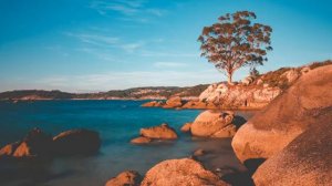 Три Часа Безмятежности | Музыка Успокаивающая Нервную Систему