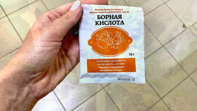 Сделайте так в АВГУСТЕ и КАБАЧКИ будут ПЛОДОНОСИТЬ до поздней ОСЕНИ! смотреть онлайн