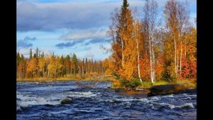 "Скучная картина". Вокал - Татьяна Арбузова, текст - Алексей Плещеев