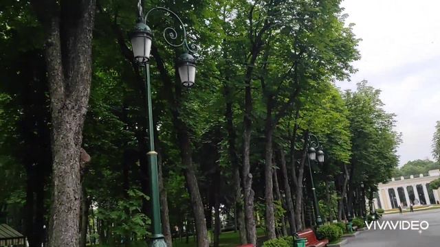 Вечерний мацион)) Дождик припустил а мы не взяли зонт☔ смотреть онлайн