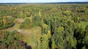 ✅⚡д. Лопаево. Полёт над Тайгой и рекой (2)