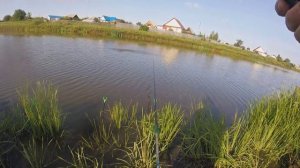 Ловля карася в конце лета.