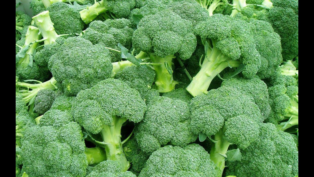 Сверхпроизводительный вариант посадки капусты брокколи смотреть онлайн