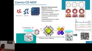 Лекция «Супрамолекулярные системы на основе циклодекстринов и полимеров для доставки лекарств»