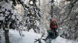 Это не Приисковый - это Дальний Восток | Бундокинг по лесу | Mountain Sleds |