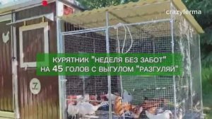 Автоматизированный Курятник для кур несушек на 45 голов с выгулом. Обслуживание 1 раз в 5-7 дней!