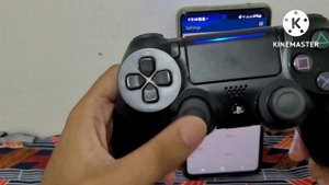 How to set up a controller on Dolphin Emulator (android)