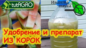 НЕ ВЫБРАСЫВАЙТЕ КОРКИ! ОБЕЗЗАРАЖИВАНИЕ ЛЮБОЙ ПОЧВЫ арбузными и дынными корками. Ферментация корок.