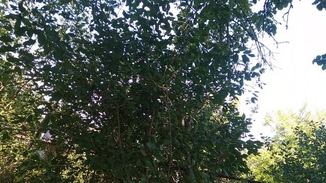 монитор с матрицей типа TN это не мой выбор смотреть онлайн