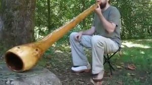 Огромная дудка