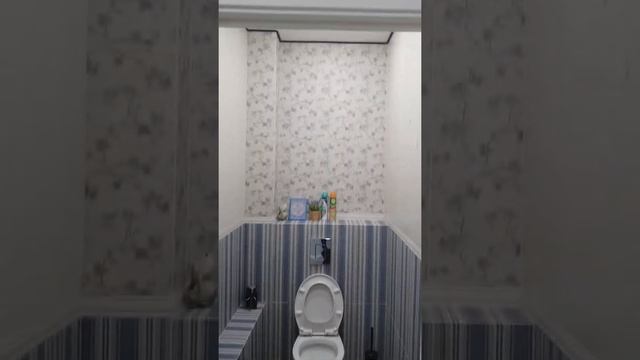 Ремонт ванной в Белгороде смотреть онлайн