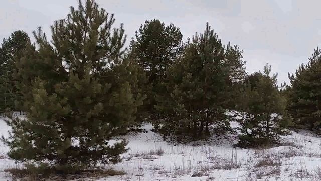 23 февраля- народный праздник День Прохора. Запреты дня. Народные приметы и традиции. смотреть онлайн