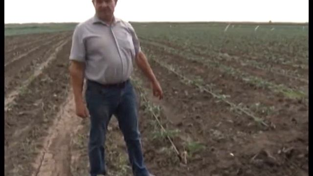 ПРАВИЛА ОРОШЕНИИЯ ПОЧВ ВРЕД ДИКОГО ПОЛИВА смотреть онлайн