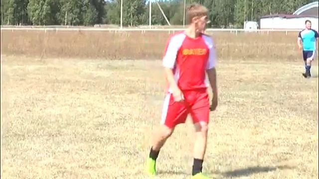 Волейбол, футбол, сдача норм ГТО смотреть онлайн