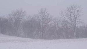 Самая грустная песня которая рвёт душу // Придуманое Счастье // Dan Bordian // Вы только послушайте