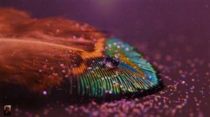 Намерение и закон бумеранга