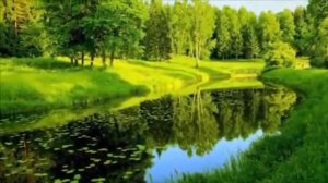 Галина Ненашева - Шум Берёз