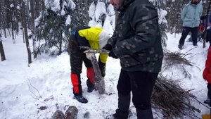 Нодья из трёх брёвен - один из самых легких и эффективных таёжных костров!