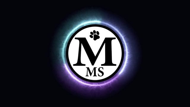 Intro