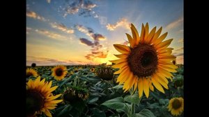 наше лето.avi