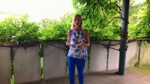 Как мы с Анной продавали дом в Словении | Купи дом и зарабатывай | Дешевая коммерческая недвижимост