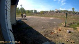 Установка калитки забора Grand Line.