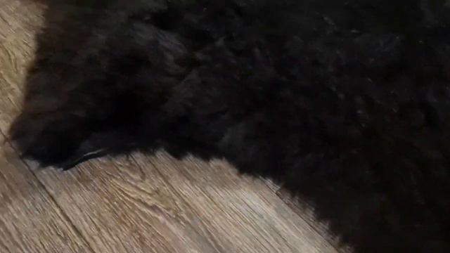 КОВЕР ИЗ ЧЕРЫРЕХ ОВЕЧЬИХ ШКУР "ВЕНГЕ" (КОД: 4263) смотреть онлайн