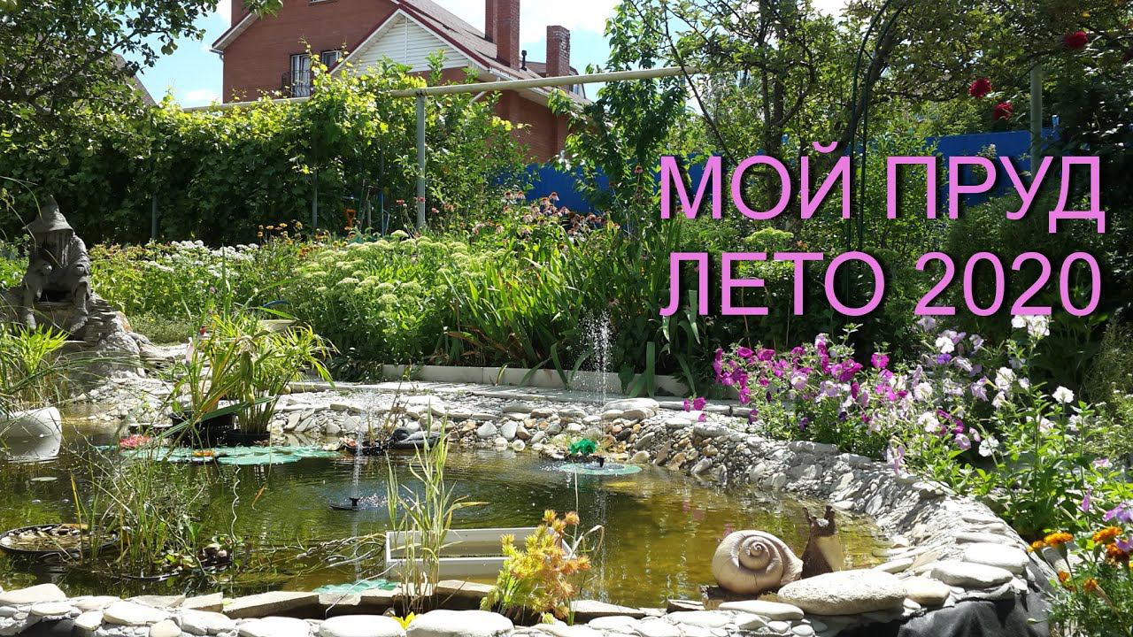 Мой пруд летом. Рыбки, цветы, пение птиц. Отдыхаем. My pond in  summer. Fish, flowers, birds singing