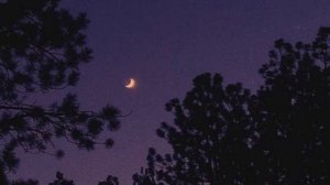 limbo  - airplane mode 1 hour