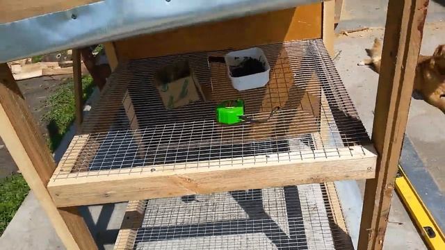 DIY - Клетка с маточником для кроликов своими руками (Часть первая). Кроликоферма. Кролеферма