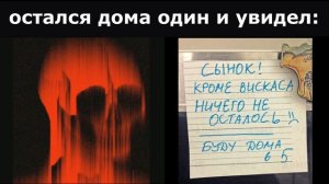 Остался дома один и увидел: