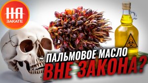 Производители могут сесть за использование пальмового масла? #назакате #токшоу #пальмовоемасло