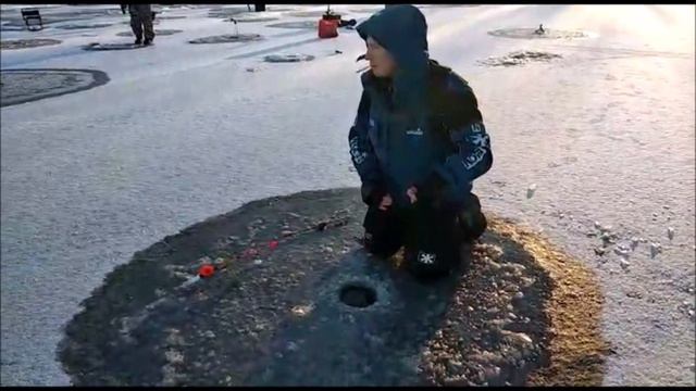 Поимки в течении дня!!!Клевое Место д.Савельево смотреть онлайн