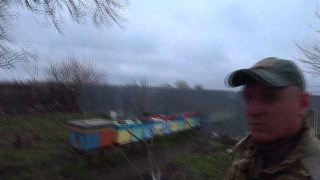 Забор для пасеки