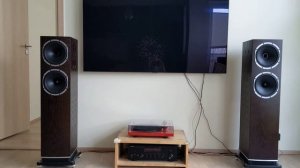 Fyne Audio F502 (black pumas)