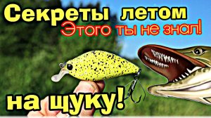 Новые секреты ловли щуки летом которые не знают даже опытные щукари! Как ловить щуку летом?