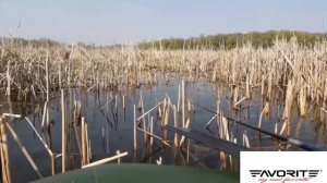 КАРАСЬ В КАМЫШЕ.ЛОВЛЯ КАРАСЯ НА ПОПЛАВОК.РЫБАЛКА НА КАРАСЯ.ВЕСЕННИЙ КАРАСЬ В КАМЫШЕ