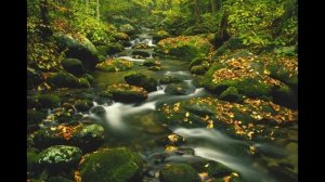 Влияние Юпитера на Судьбу человека.