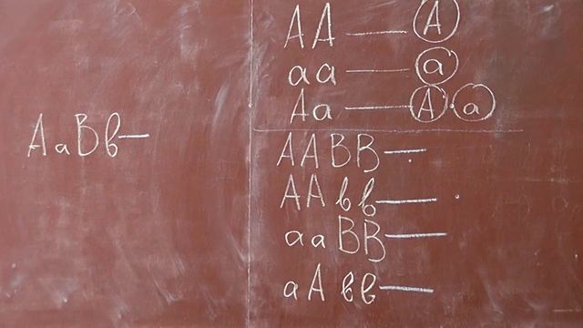 96 Моногибридные и полигибридные скрещивания HD смотреть онлайн