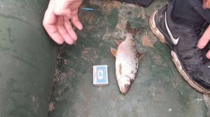 Весенняя ловля на косынку с лодки в разлив.