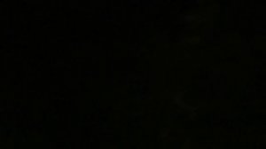 ВЫЗВАЛИ СЛЕНДЕРМЕНА НОЧЬЮ В ЛЕСУ! ВСЁ ВЫШЛО ИЗ ПОД КОНТРОЛЯ