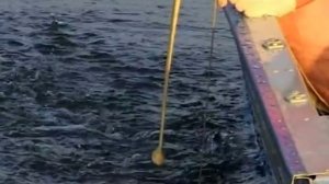 Диалоги о рыбалке - Ужение сома с квоком 99 jyne