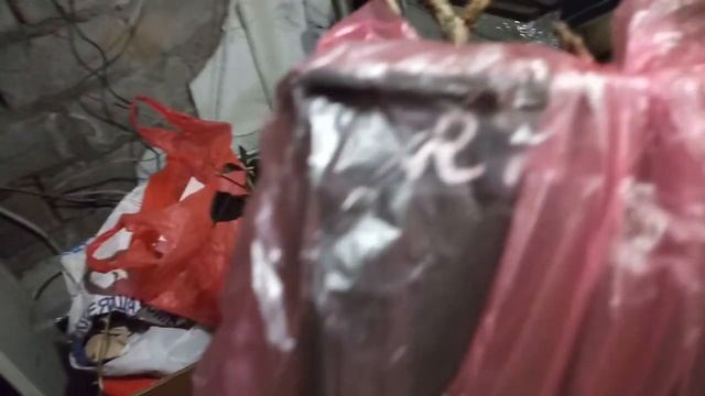 Какие сорта ежевики,смородины и малины пришли на мой участок. смотреть онлайн