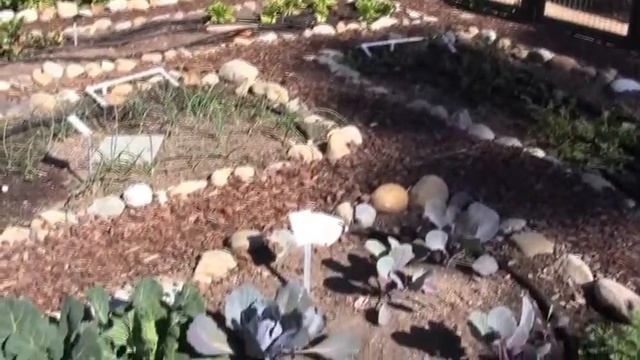 A Visit to Mission San Juan Capistrano, CA смотреть онлайн