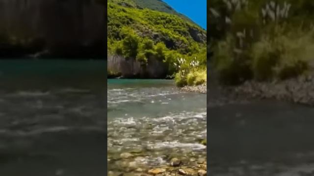 Евангелие дня. 28 января смотреть онлайн