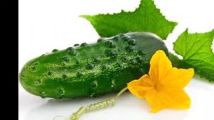 Какие овощи можно давать хомяку?